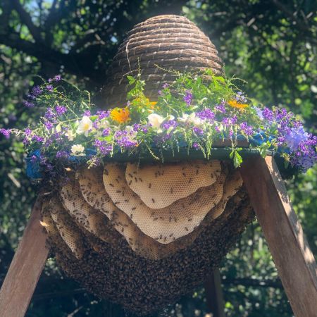 The Bee Sanctuary