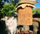 What is Regenerative Beekeeping