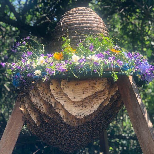 The Bee Sanctuary