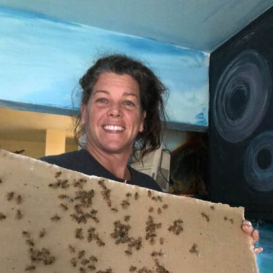 Bee Removal, Rescue & Relocation