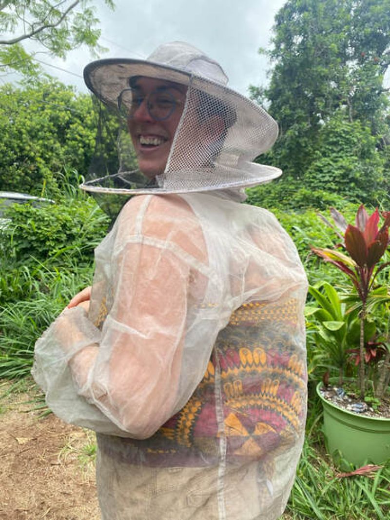 Bee School